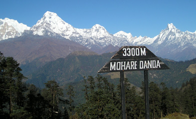 Mohare Danda Trek